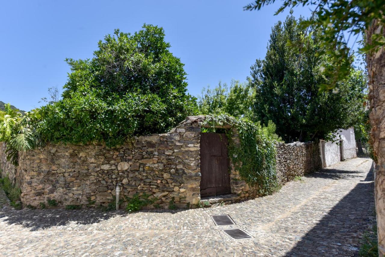 Casa Botijo * Linares de la Sierra